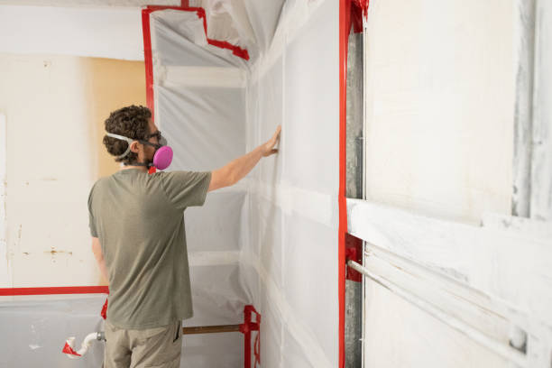 Best Post-Construction Mold Inspection  in Bullhead City, AZ