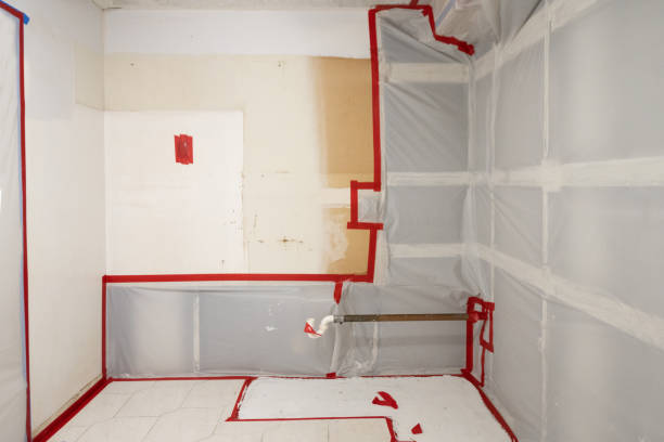 Best Mold Odor Removal Services  in Bullhead City, AZ