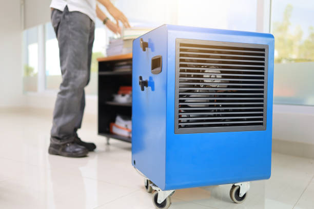 Dehumidification Services in Bullhead City, AZ
