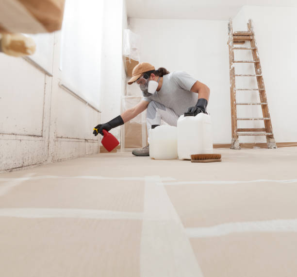 Best HVAC Mold Inspection and Cleaning  in Bullhead City, AZ